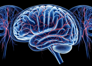 МРТ сосудов головного мозга Бирюлево